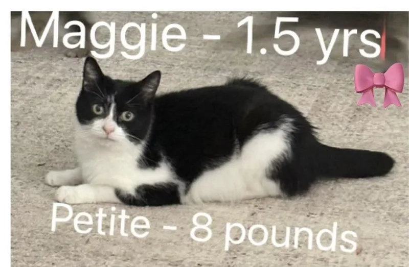 Maggie thumbnail 2