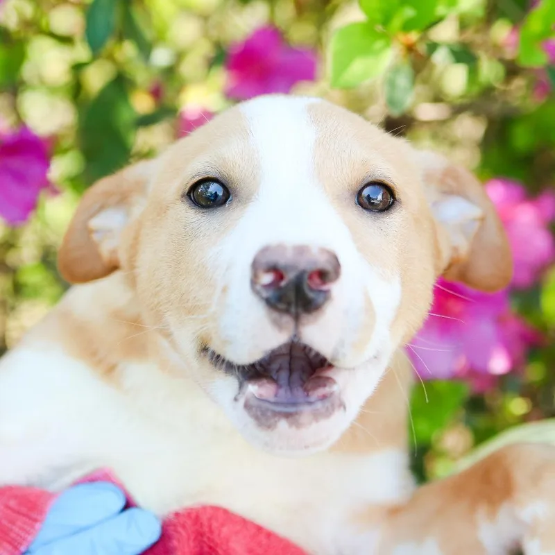 No Way Jose thumbnail 2