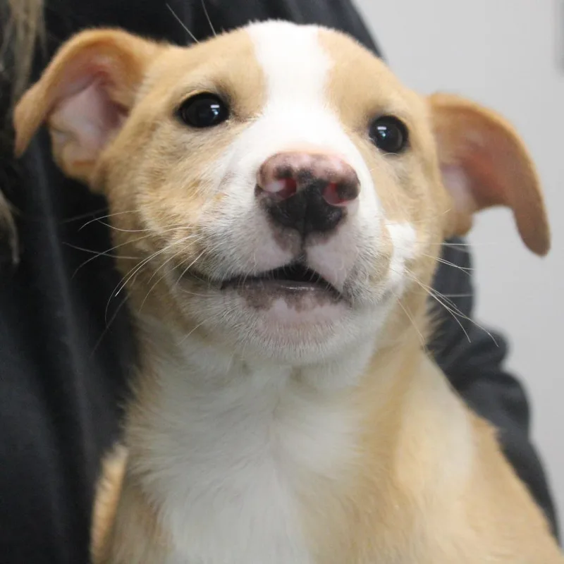 No Way Jose thumbnail 3