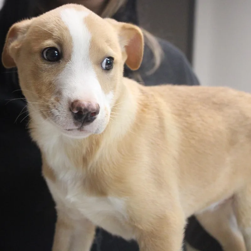 No Way Jose thumbnail 5