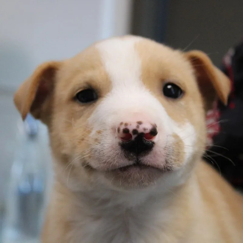 No Way Jose thumbnail 6