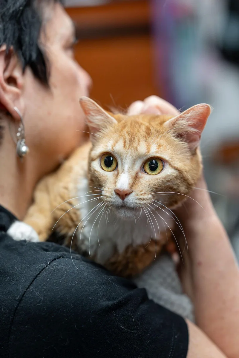 Yma Sumac thumbnail 2