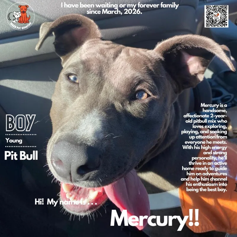 Mercury thumbnail 2