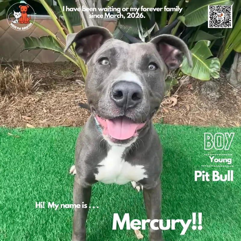 Mercury thumbnail 3