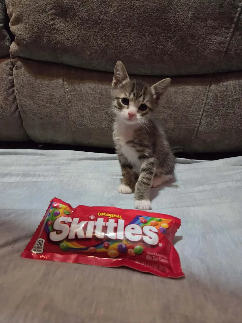 Skittles