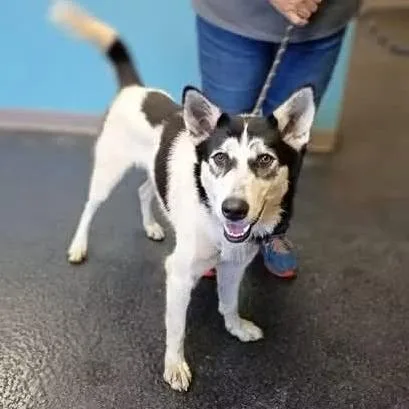 Tundra