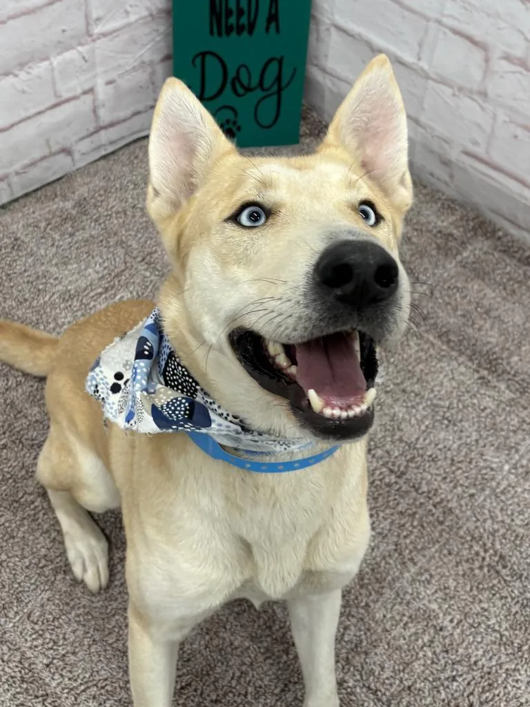 Todd thumbnail 5