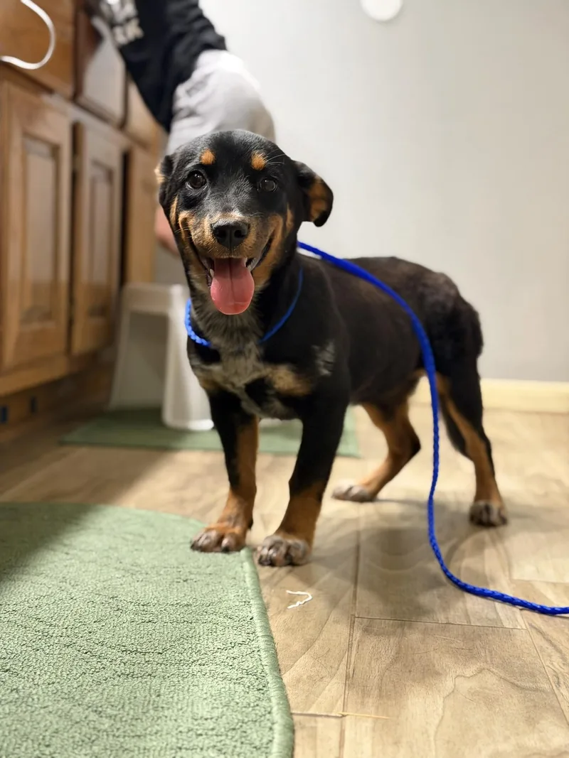 Brooke thumbnail 4