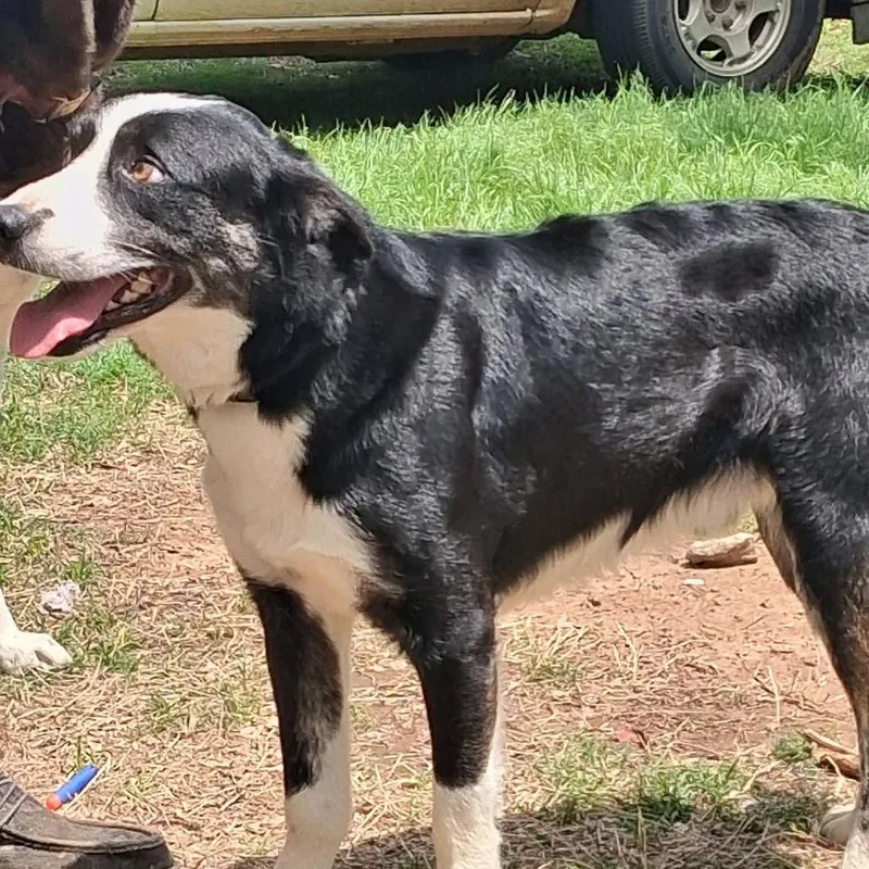 Buster