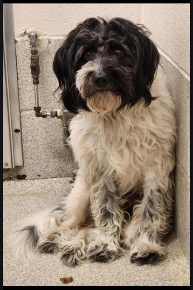 Murphybio Added!! thumbnail 2