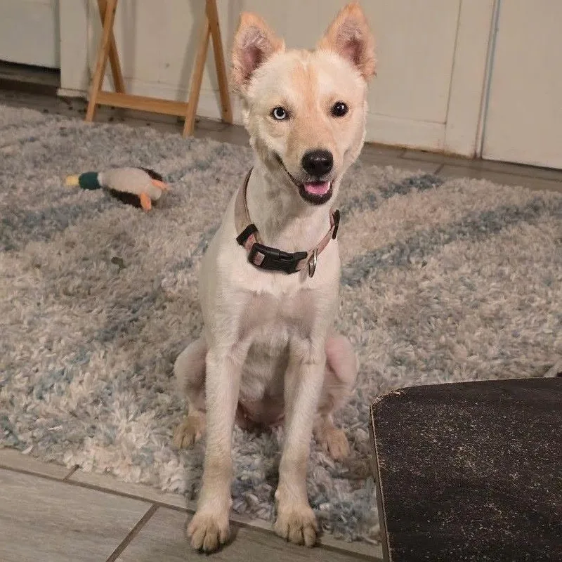 Kira thumbnail 4