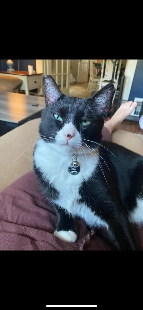 Samurai Jack thumbnail 3