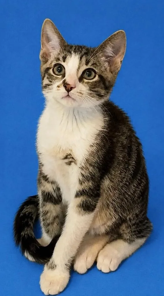 Sam