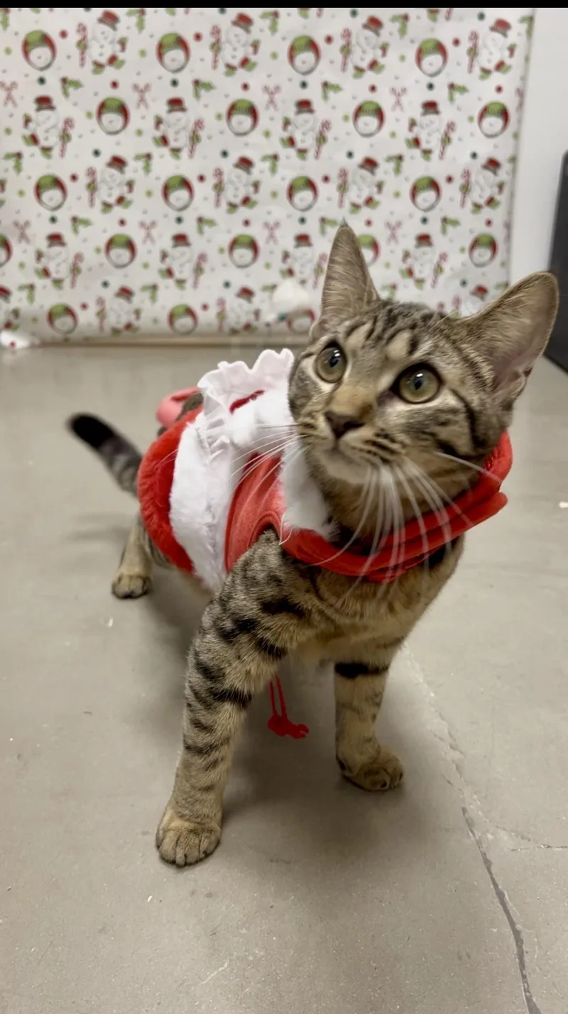 Birdie And Badger thumbnail 5