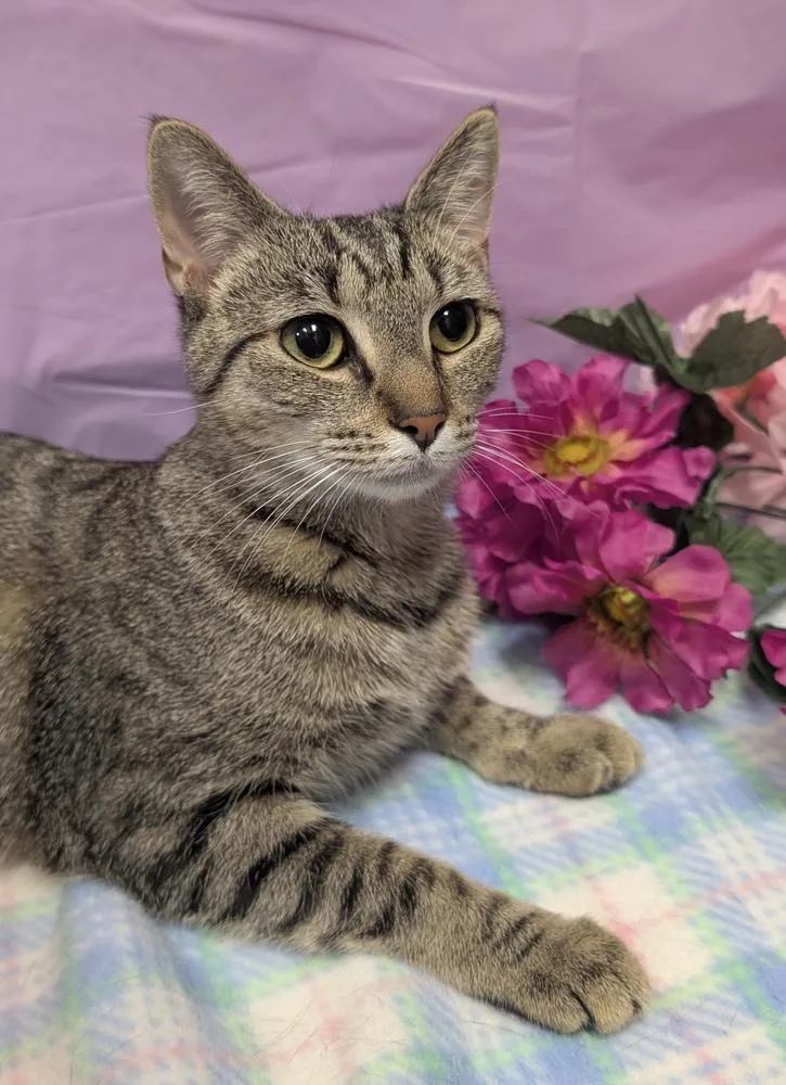 Violet Beauregard thumbnail 2