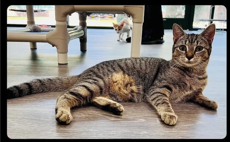 Violet Beauregard thumbnail 3