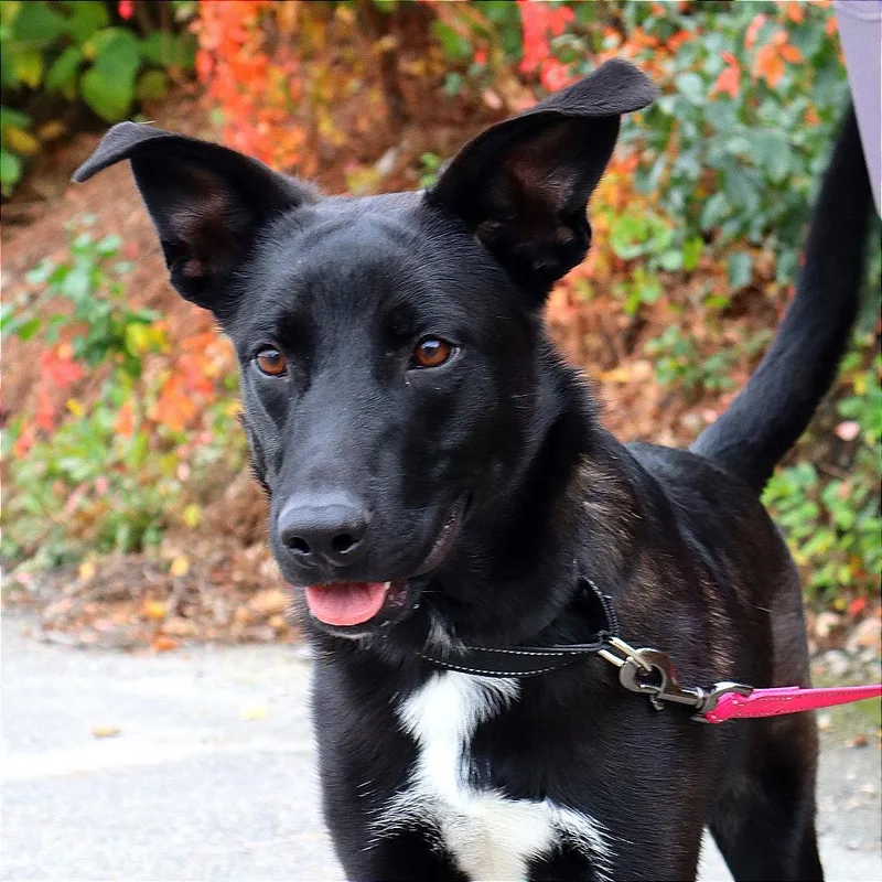 Pluto thumbnail 2