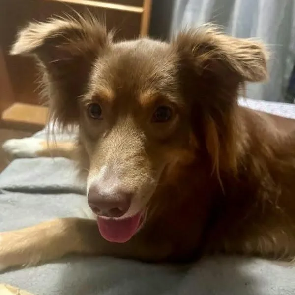 Delilah aka Dee thumbnail 4