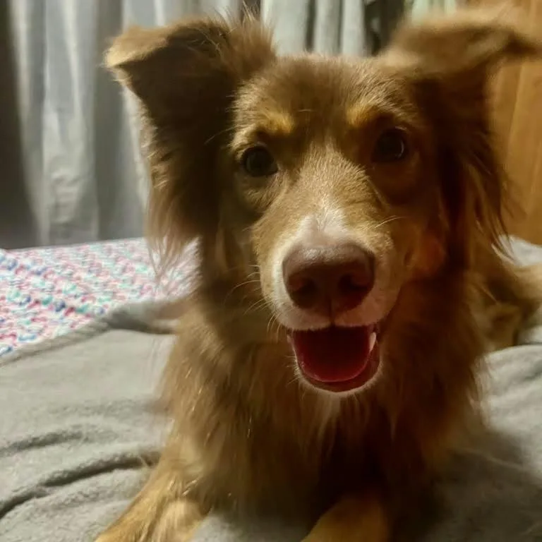 Delilah aka Dee thumbnail 5