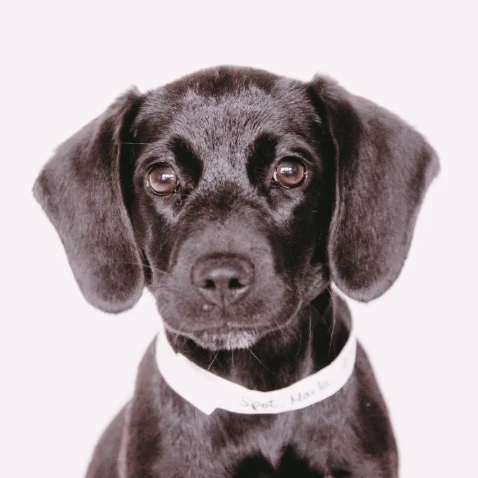 Marla D Arriving thumbnail 2