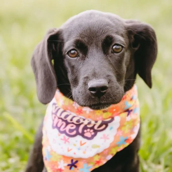 Marla D Arriving thumbnail 3