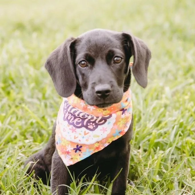 Marla D Arriving thumbnail 4