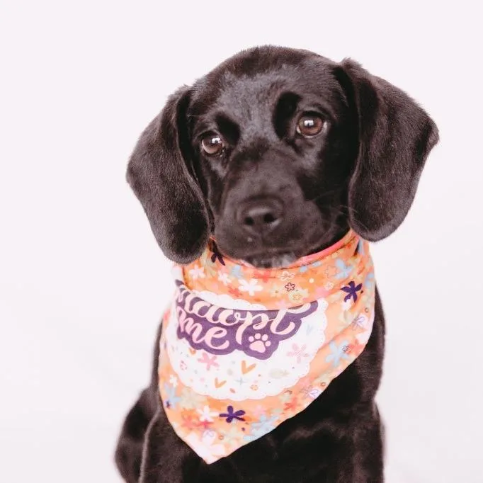 Marla D Arriving thumbnail 5