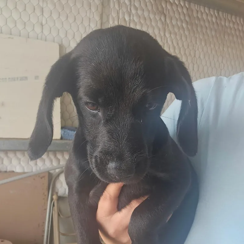 Marla D Arriving thumbnail 6