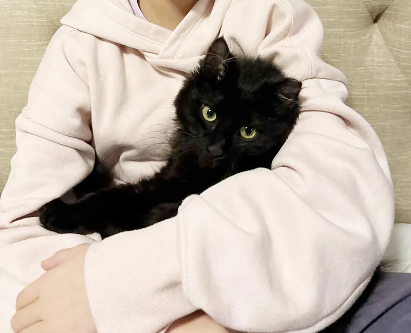 Pawblo Is Poofy Preciousness thumbnail 2