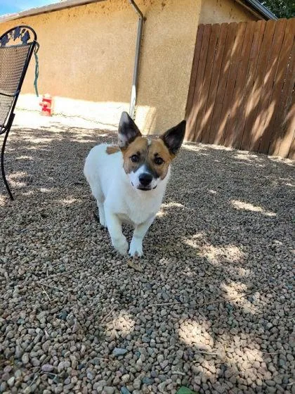Tucker