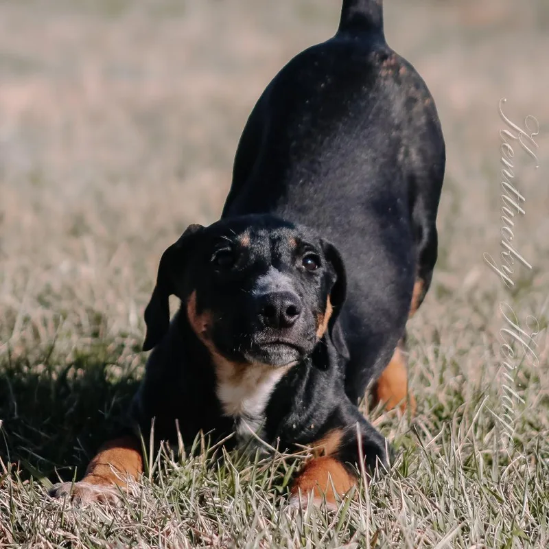 Kyra Aka "hazel" thumbnail 2