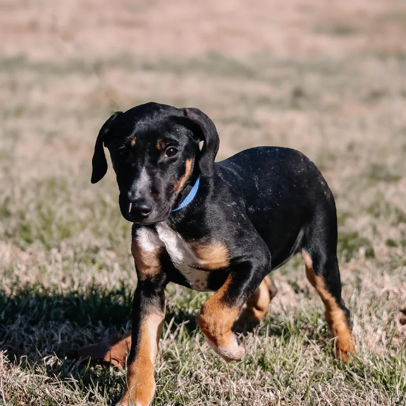 Kyra Aka "hazel" thumbnail 3