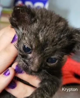Krypton thumbnail 2