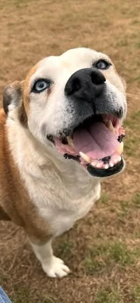 Serenity thumbnail 2