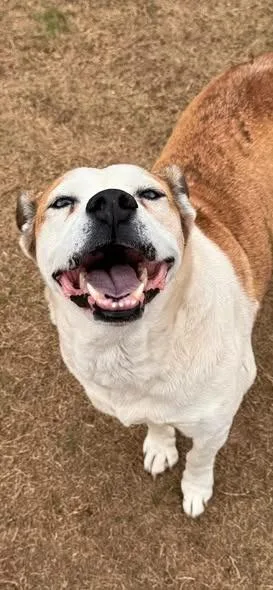 Serenity thumbnail 3