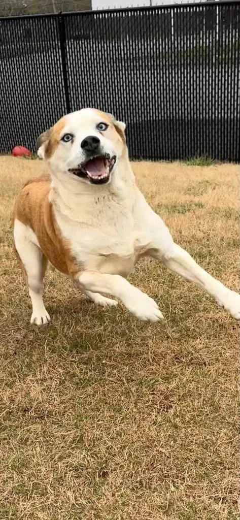 Serenity thumbnail 4