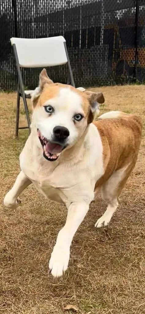 Serenity thumbnail 5