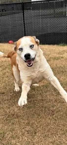 Serenity thumbnail 6