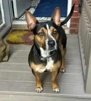 Xp Brody thumbnail 2