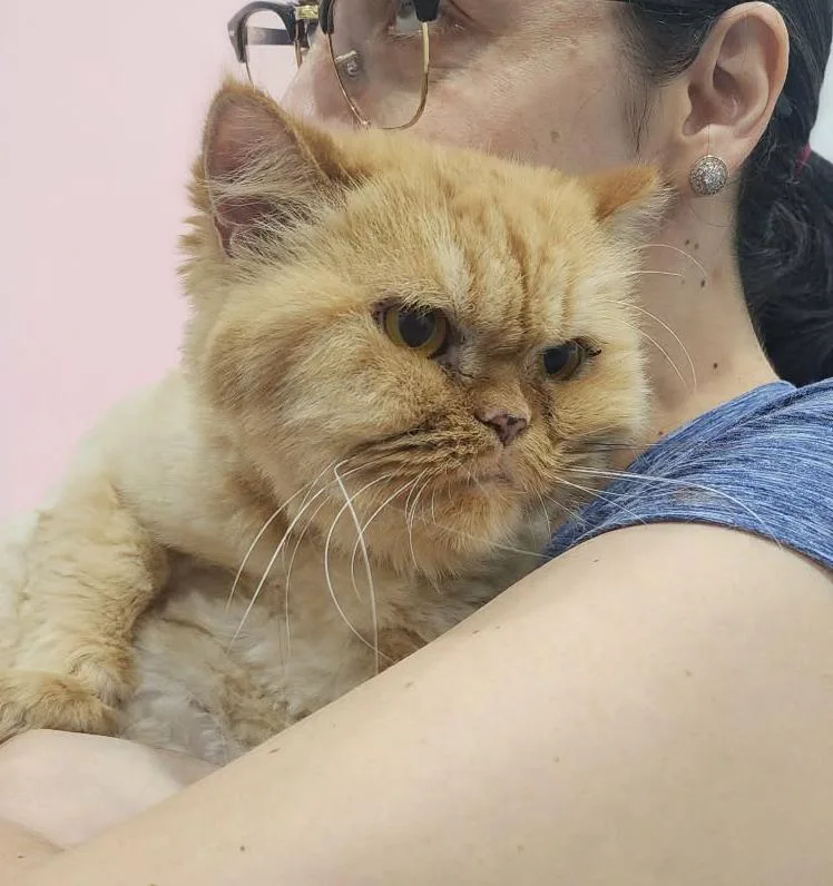 Molly Is Simply Magic! thumbnail 2