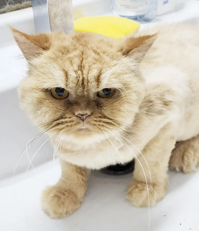 Molly Is Simply Magic! thumbnail 3