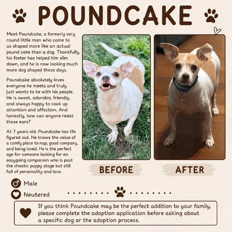 Pound Cake D thumbnail 5