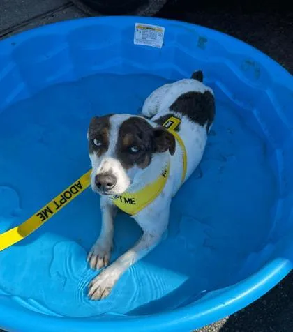 Wallacewallee thumbnail 3