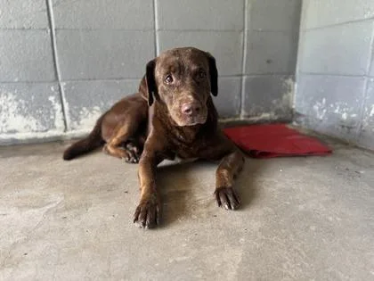 Bigjoewilliams thumbnail 2