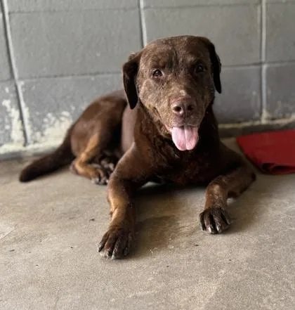 Bigjoewilliams thumbnail 3