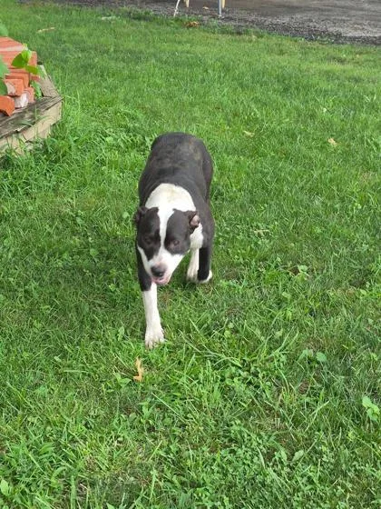 Lucy