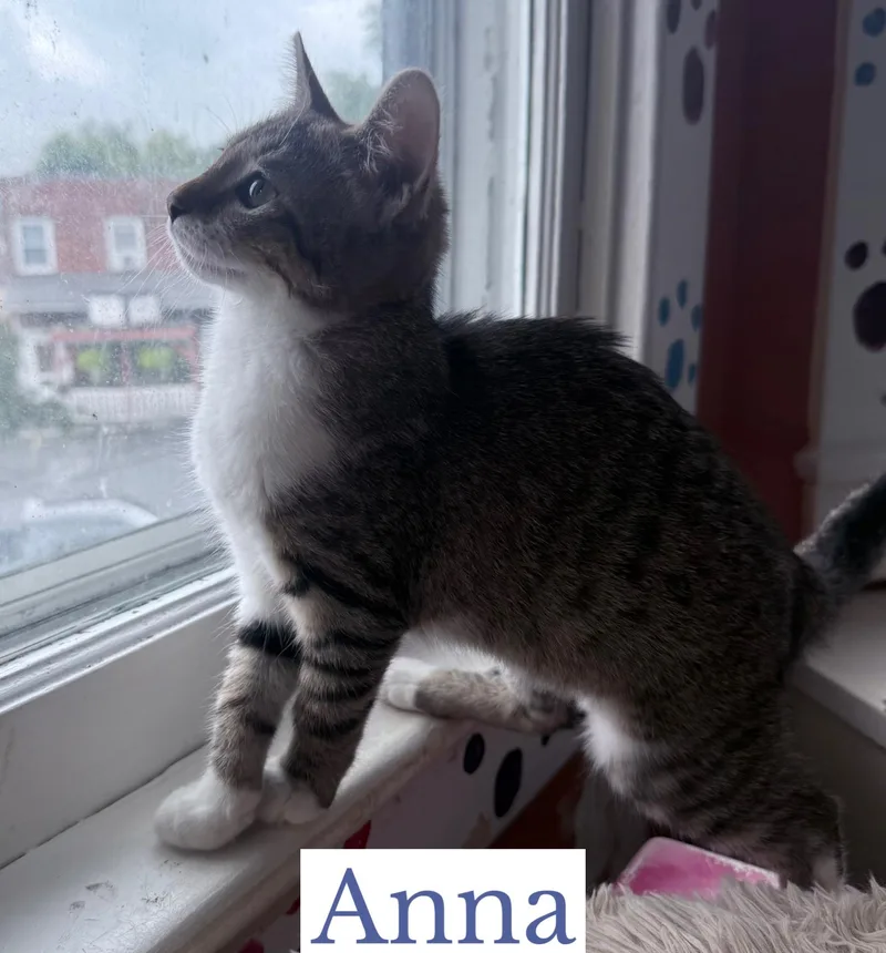 Anna thumbnail 2