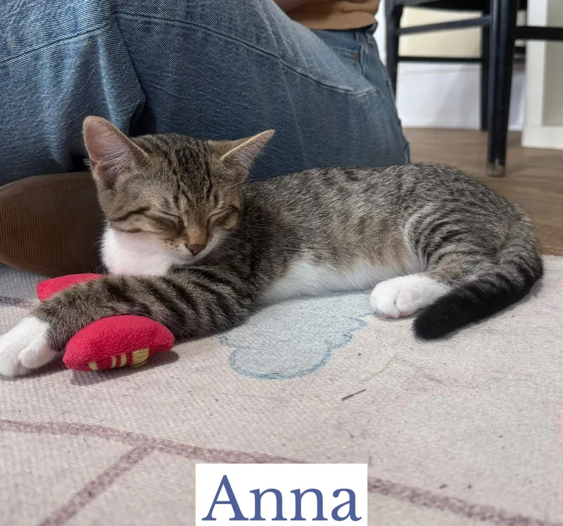 Anna thumbnail 3