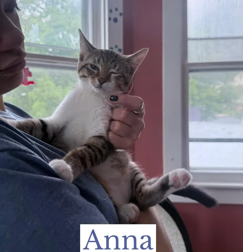 Anna thumbnail 4