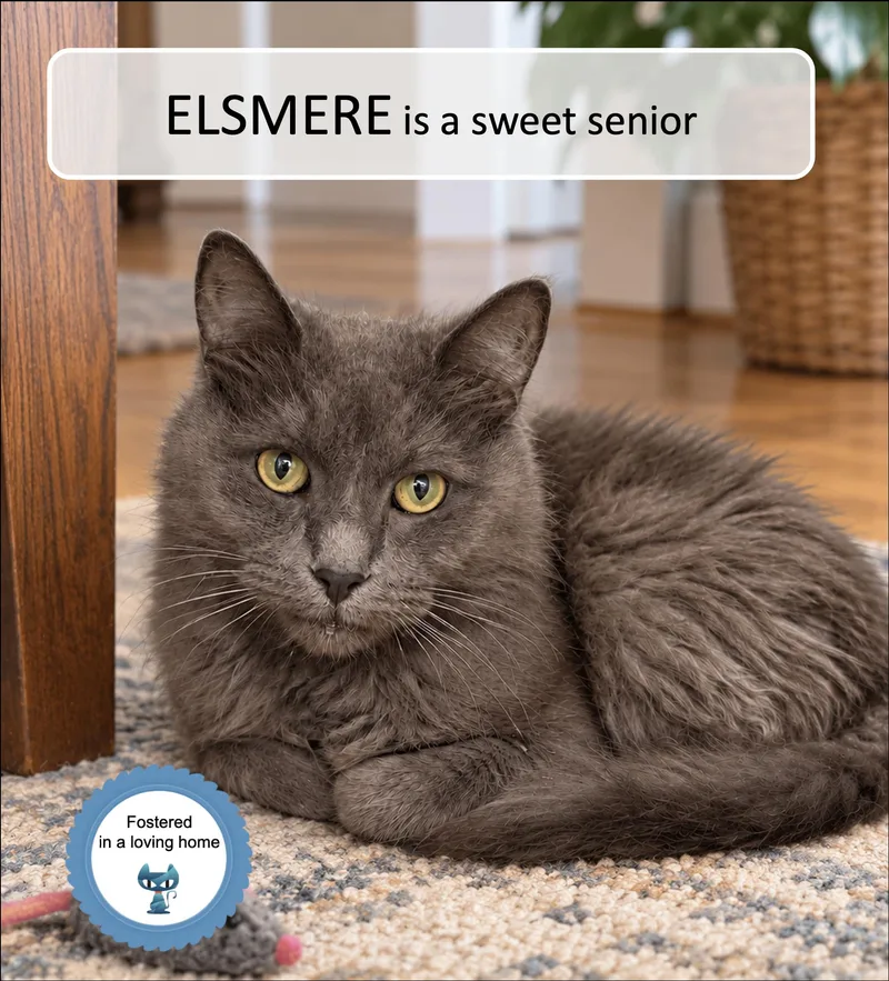 Elsmere